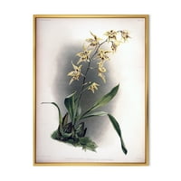 Designart' Drevni Cvijet Orhideje ' Tradicionalni Uramljeni Platneni Zidni Umjetnički Print