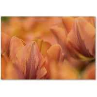 Zaštitni znak likovne umjetnosti' narandžasti tulipani ' platnena Umjetnost Cora Niele
