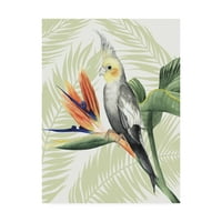 Zaštitni znak likovne umjetnosti 'ptičji raj I' platnena Umjetnost Grace Popp