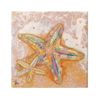 Stupell Industries uzorkovana morska zvijezda okeanska pjena slojevita Efemera kolaž slika Galerija umotana