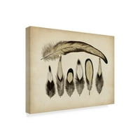 Zaštitni znak Likovna umjetnost' Vintage Feathers VII ' platnena Umjetnost nepoznatog