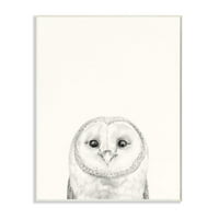 Stupell Industries Owl Portrait Grey dizajn za crtanje zidna ploča Viktorije Borges